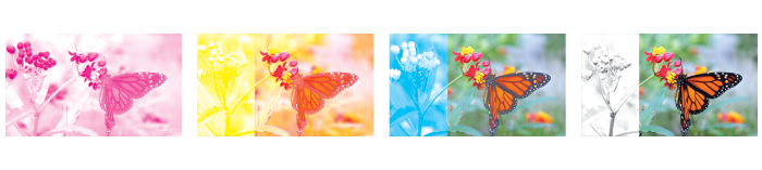 CMYK butterfly example